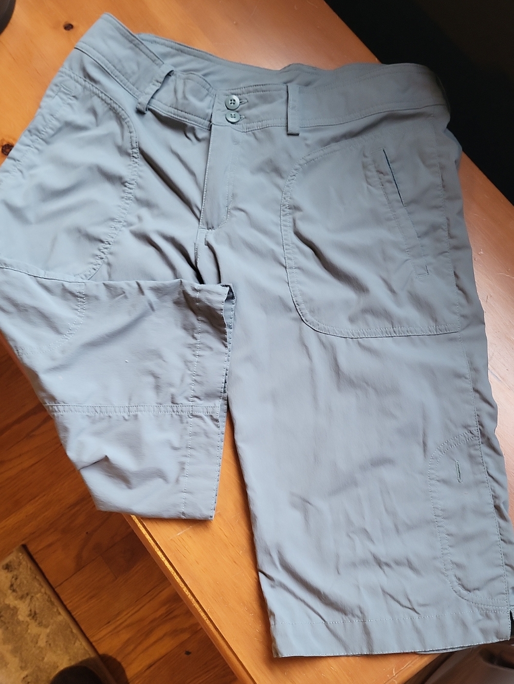 Patagonia Lightweight Shorts Ladies 8